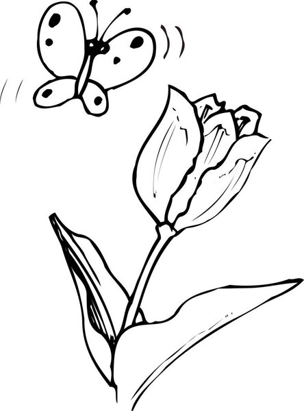 бабочка, летящая над цветком, рисует