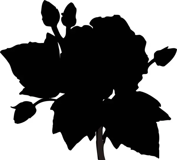 Czarny Kwiat Sylwetka Izolacja Białym Tle — Zdjęcie stockowe