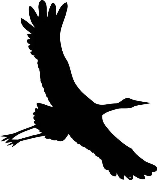 Beyaz Arka Planda Siyah Bir Kuş Silueti — Stok fotoğraf
