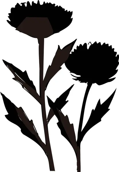 black flower plant silhouette isolated on white background, floral botanical illustration