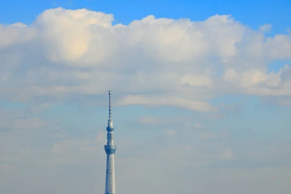 Tokyo Skytree Wieża Nadawcza Obserwacyjna Sumida Tokio Japonia — Zdjęcie stockowe