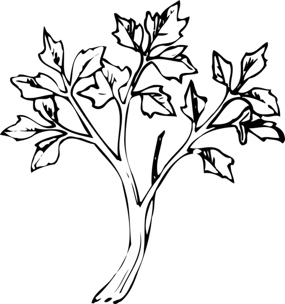 Yaprak simgesi içeren dal ana hatları siyah siluet çizimi