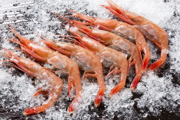 Bunch Shrimps Ice — Stock Photo, Image