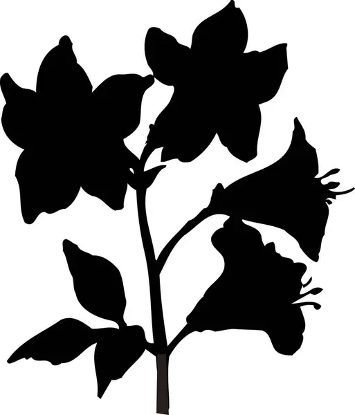 Czarny Kwiat Sylwetka Izolacja Białym Tle — Zdjęcie stockowe