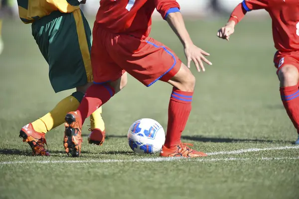 Japonya 'da futbol görüşü kesilmiş.