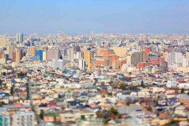 Tokyo şehir manzarasının havadan görünüşü, Japonya