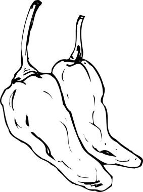 Çan biberlerinin siyah beyaz çizimi