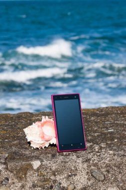 Boş ekran ve deniz kabuğu olan akıllı telefon, boşluğu kopyala