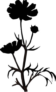 Beyaz arkaplanda izole edilmiş siyah çiçek silueti, çiçekli botanik illüstrasyon 
