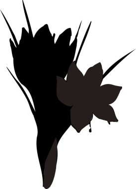 Beyaz arkaplanda izole edilmiş siyah çiçek silueti, çiçekli botanik illüstrasyon 