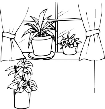 Pencere kenarındaki bitkiler, beyaz arkaplanda izole edilmiş basit siyah beyaz illüstrasyon