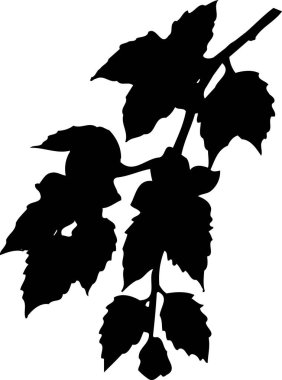 Beyaz arkaplanda izole edilmiş siyah çiçek silueti, çiçekli botanik illüstrasyon 