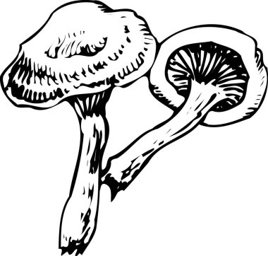 siyah basit mantar çizimi