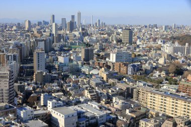 Tokyo şehir manzarasının havadan görünüşü, Japonya