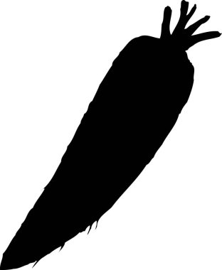 Beyaz arkaplanda havuç siyah silueti