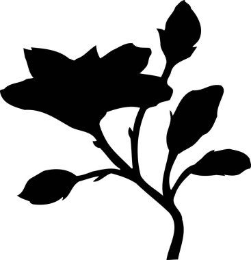 Beyaz arkaplanda çiçek silueti