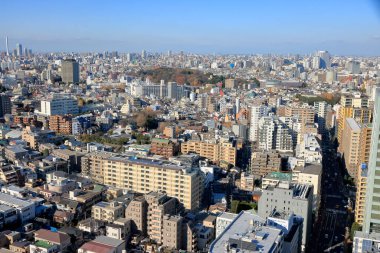 Tokyo şehir manzarasının havadan görünüşü, Japonya