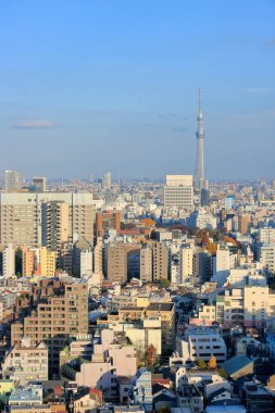 Tokyo Skytree, Sumida ve Tokyo 'da bir yayın ve gözlem kulesi, Japonya