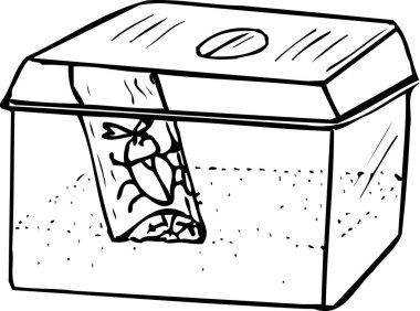 Çürüyen sebze artıkları içeren plastik gübre kutusu