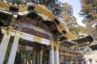 Japonya 'da ormandaki antik türbe kompleksi