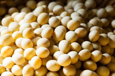 Pişirmek için bir kase çiğ soya fasulyesi 