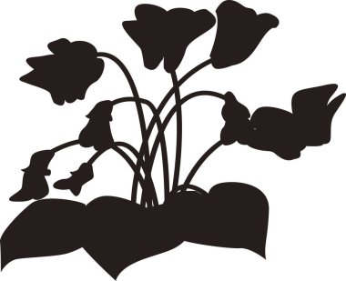 Çiçeklerin silueti, beyaz arkaplanda izole edilmiş siyah beyaz çizimler