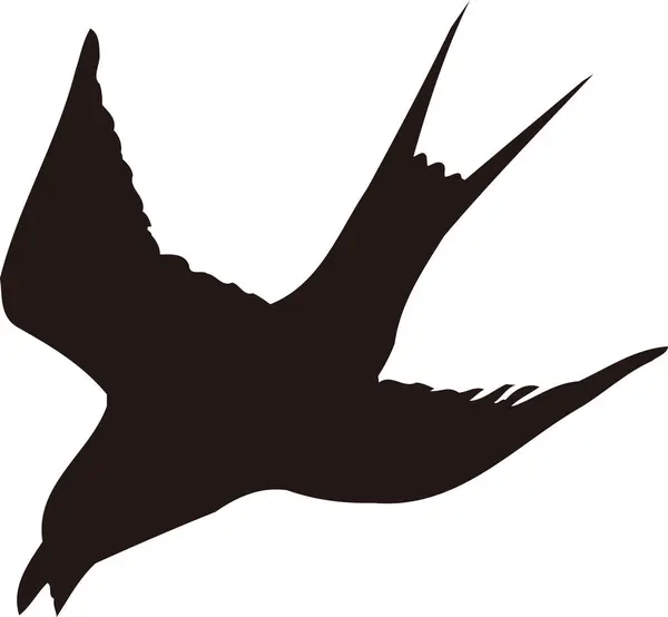Černá Silueta Ptáka Bílém Pozadí — Stock fotografie