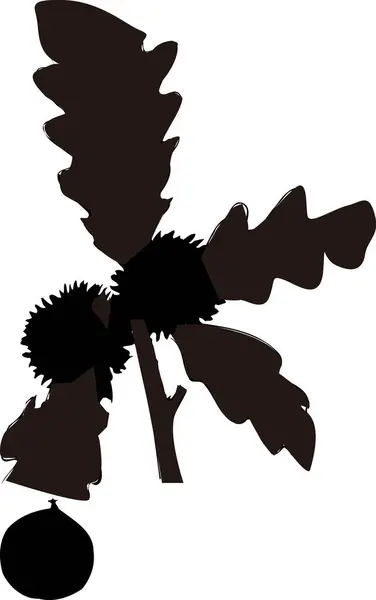 Schwarze Floral Silhouette Isoliert Auf Weißem Hintergrund — Stockfoto