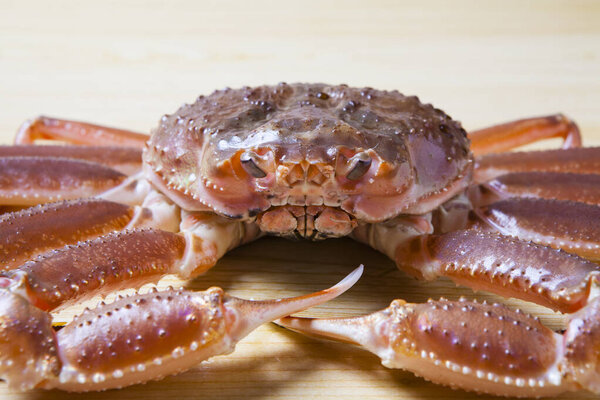 fresh crab on light background, close up