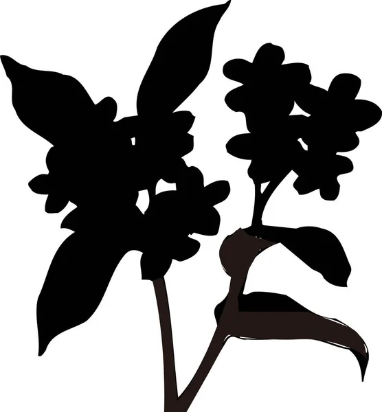 black flower silhouette isolated on white background, floral botanical illustration