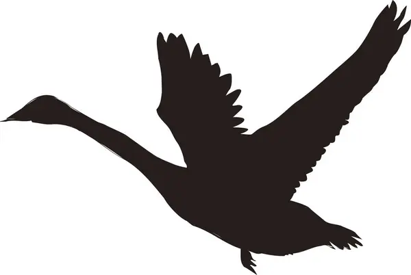 Černá Bílá Ilustrace Ptáka — Stock fotografie