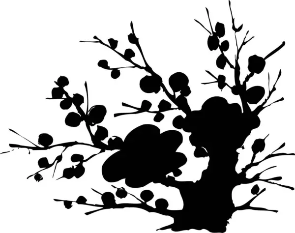 叶和花的树枝 白色背景下孤立的黑色轮廓 — 图库照片
