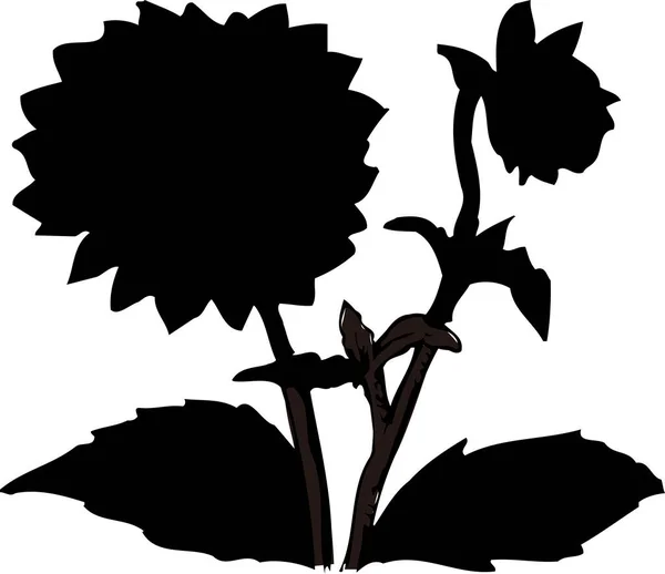 black flower silhouette isolated on white background, floral botanical illustration