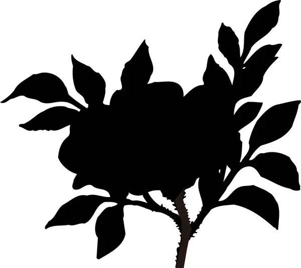 Black Floral Silhouette Isolated White Background — Stock Photo, Image