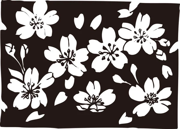 Black flowers on white background, isolated plant