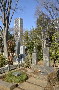 Mezarlıktaki geleneksel Japon mezar taşlarının yakın plan çekimi.