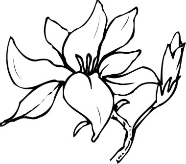 Çiçeğin siyah basit silüeti 