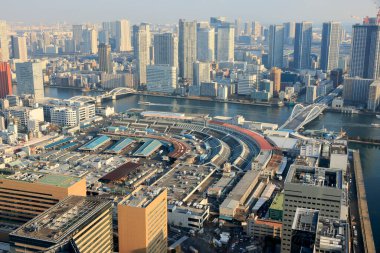 Tokyo şehrinin gökyüzü manzarası, Japonya