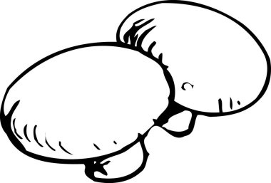 iki mantarın siyah beyaz çizimi