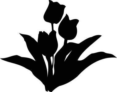 Lale çiçeklerinin siyah beyaz çizimi