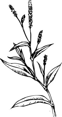 bitkinin siyah basit silüeti