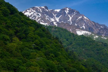 Dağları, yeşil ağaçları ve mavi gökyüzü olan güzel bir manzara.