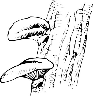 siyah basit mantar çizimi