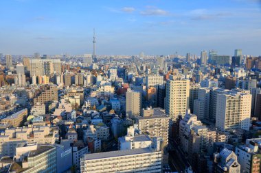 Tokyo Skytree, Sumida ve Tokyo 'da bir yayın ve gözlem kulesi, Japonya