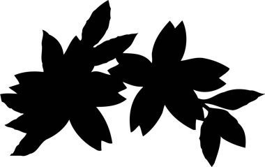 siyah basit siluet yaprak çizimi