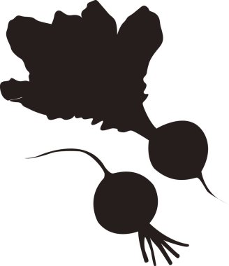 Pancar kökü silueti, beyaz arkaplanda izole edilmiş basit siyah beyaz çizim