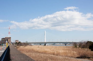 Daishi Köprüsü Tama Nehri yatağından Japonya 'da görüldü.