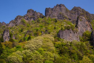 Dağları, yeşil ağaçları ve mavi gökyüzü olan güzel bir manzara.