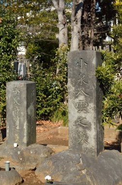 Mezarlıktaki geleneksel Japon mezar taşlarının yakın plan çekimi.