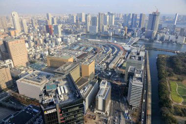 Tokyo şehrinin gökyüzü manzarası, Japonya